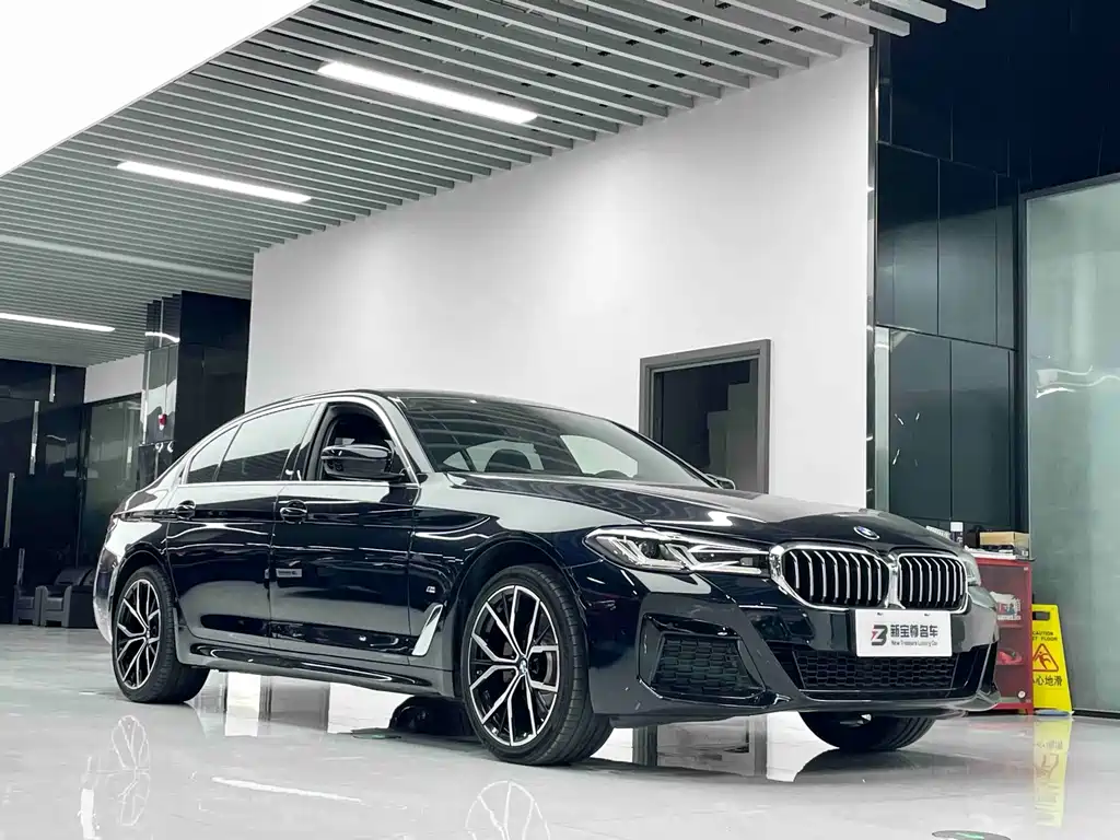 BMW 5 Series — миниатюра 3