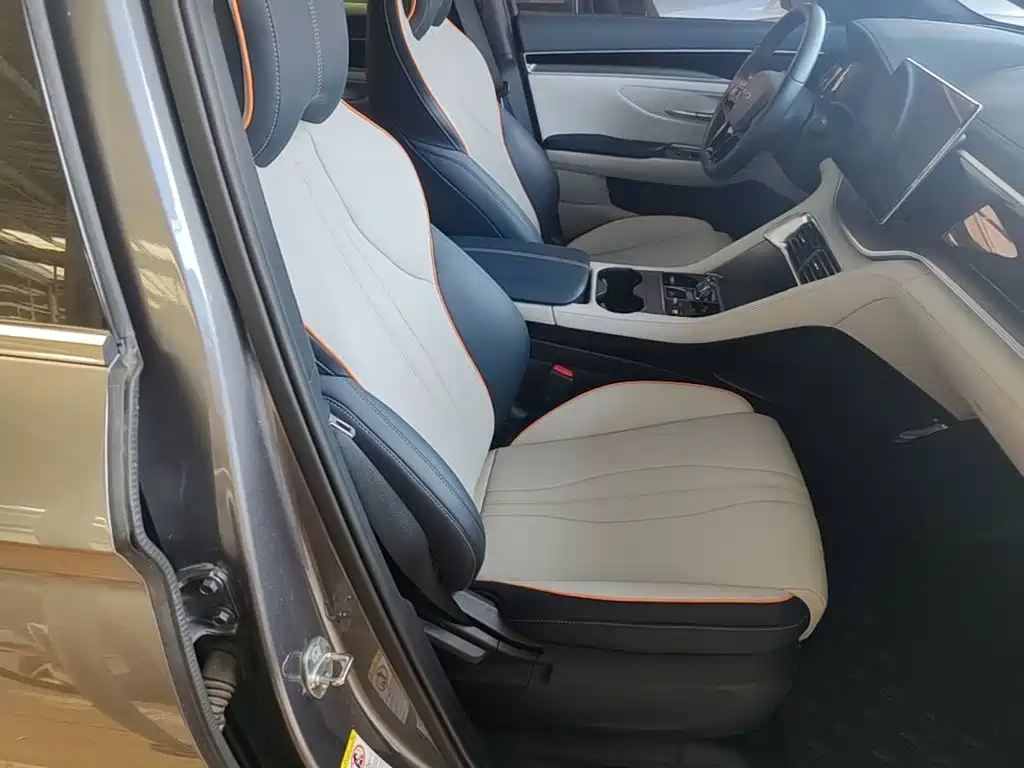 BYD PLUS New Energy — миниатюра 25