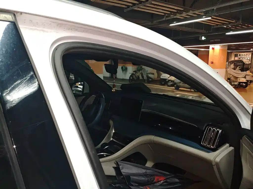 BYD Pro — миниатюра 19