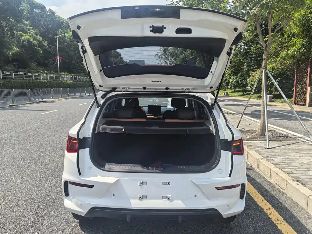 BYD e2 — миниатюра 19