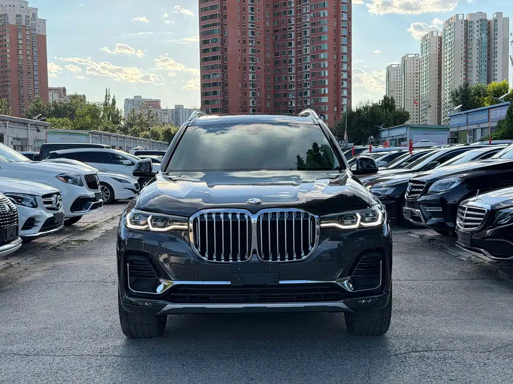 BMW X7 — миниатюра 2