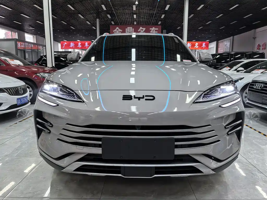 BYD PLUS New Energy — миниатюра 2