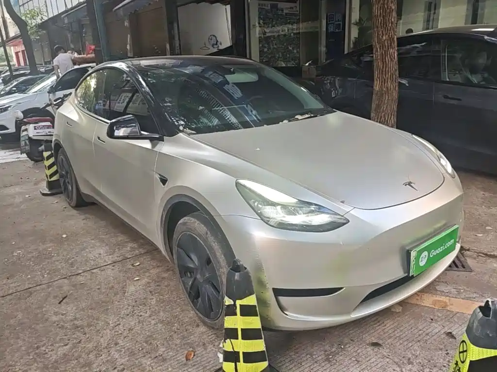 Tesla Model Y — миниатюра 4