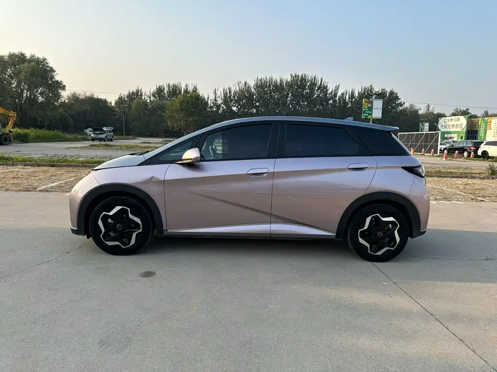 BYD Dolphin — миниатюра 7
