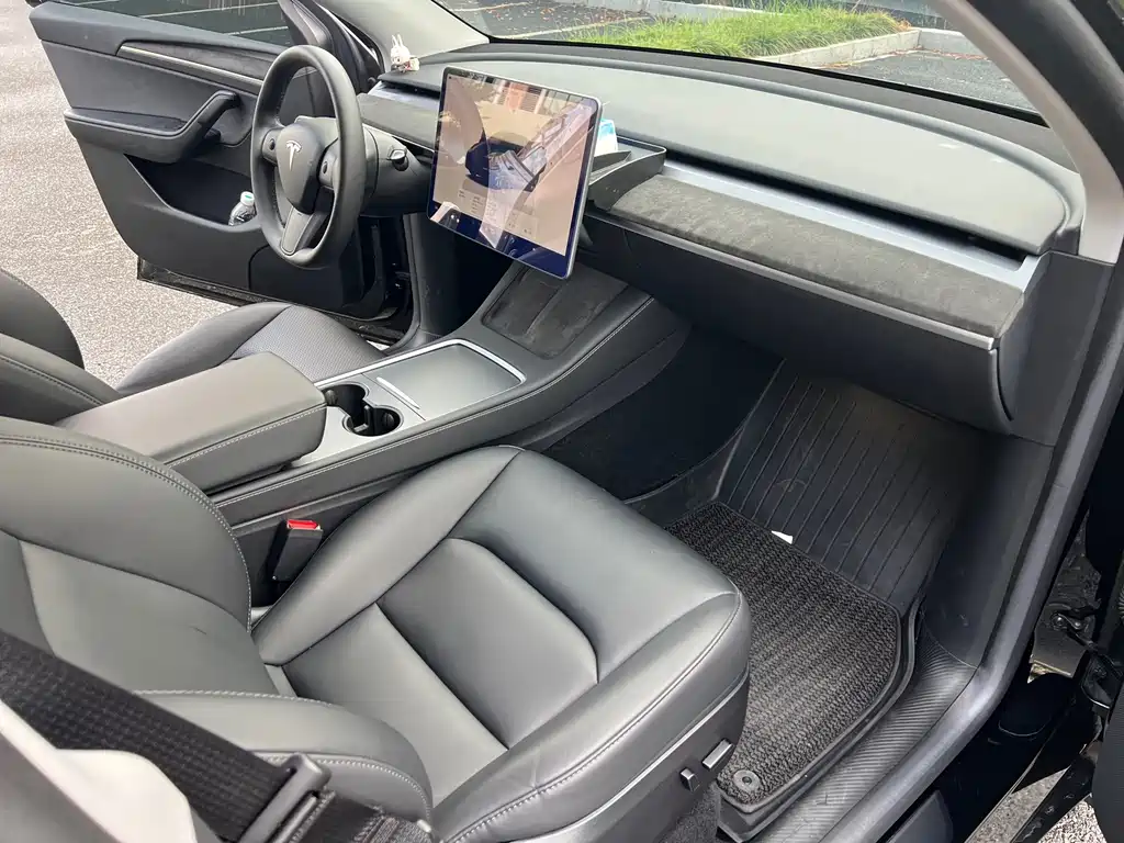 Tesla Model Y — миниатюра 10