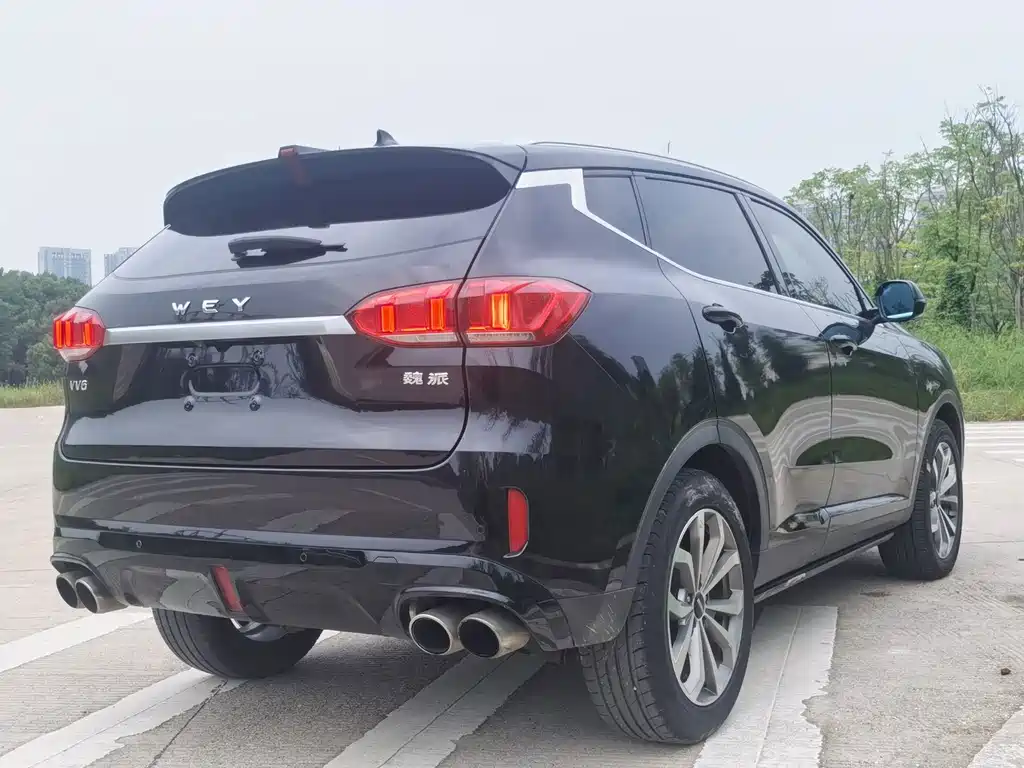 Wey Wey VV6 — миниатюра 7