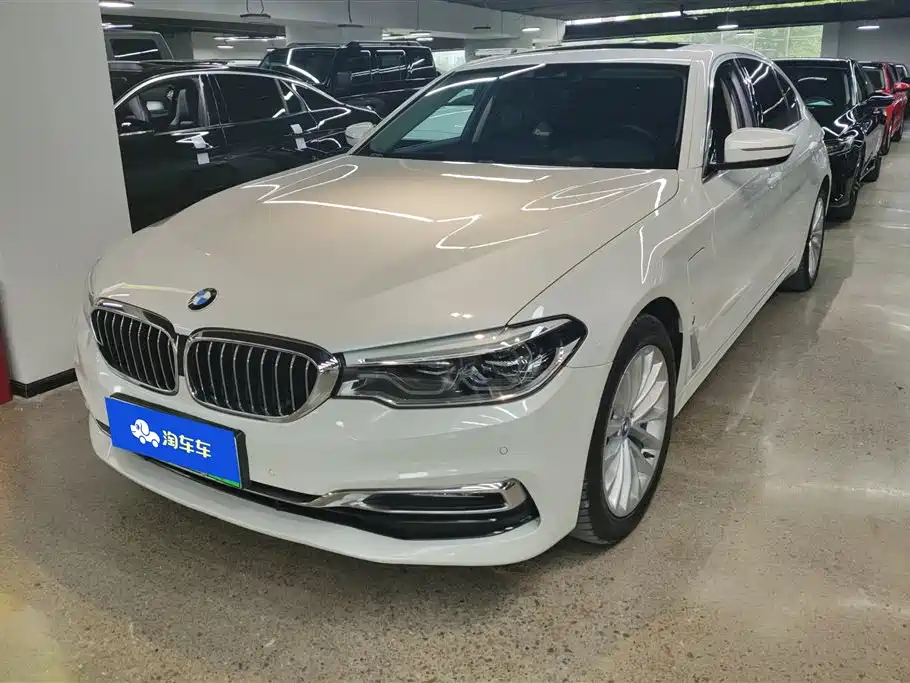 BMW 5 Series New Energy 2019