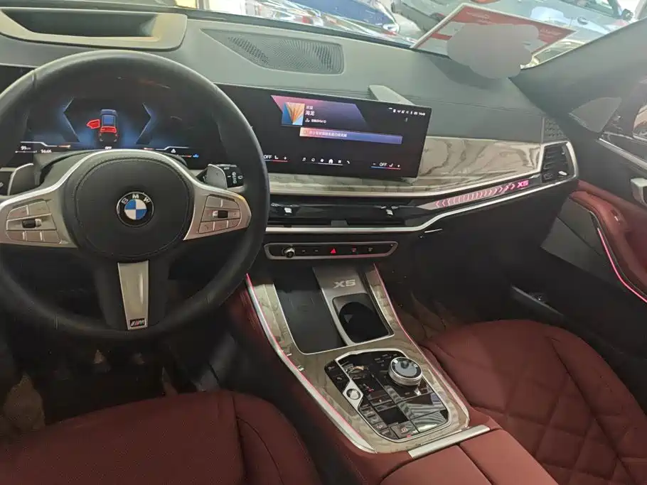 BMW X5 — миниатюра 12