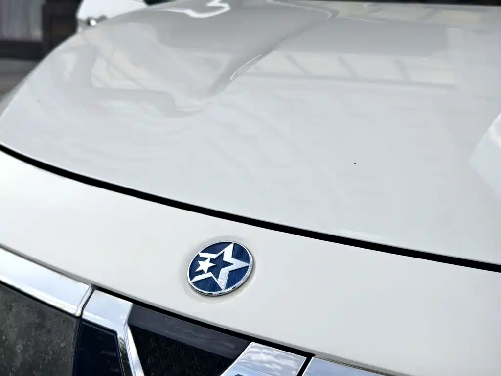 Venucia D60 EV — миниатюра 13