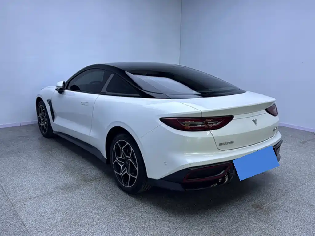 Neta Neta GT — миниатюра 9