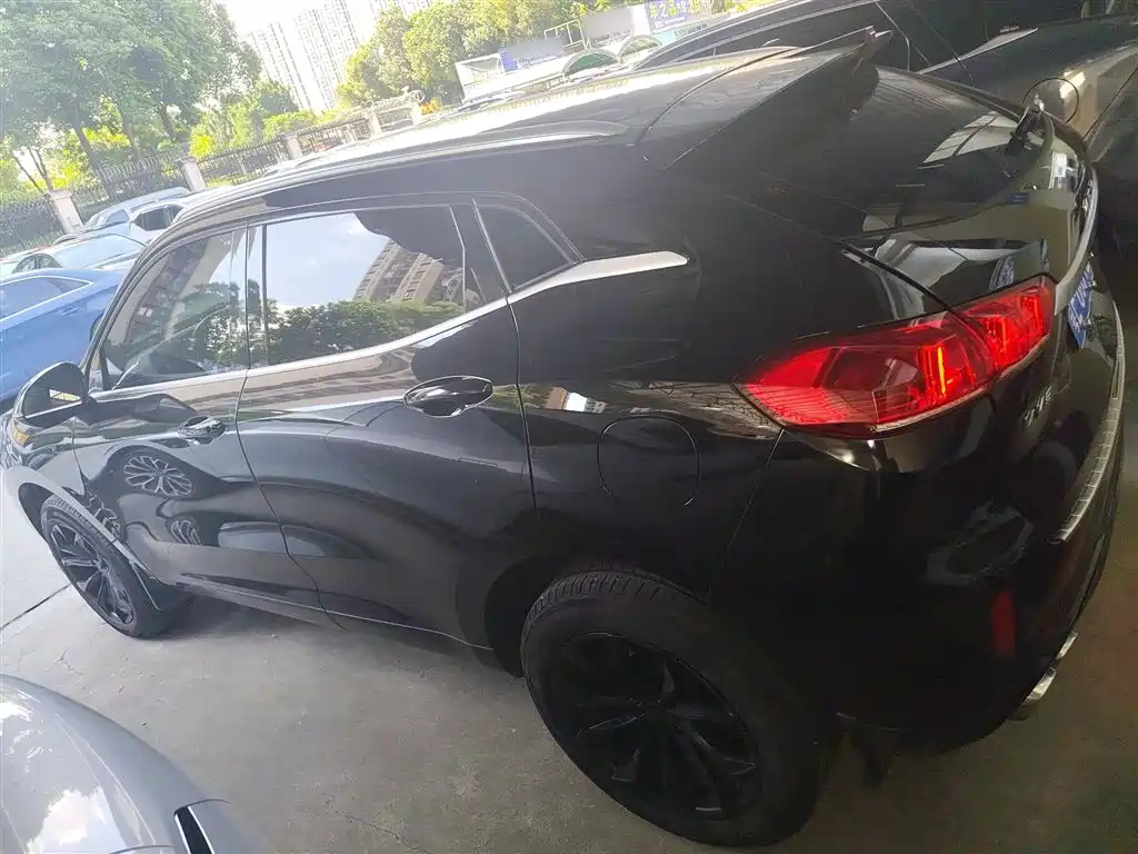 WEI PAI WEI BRAND VV5