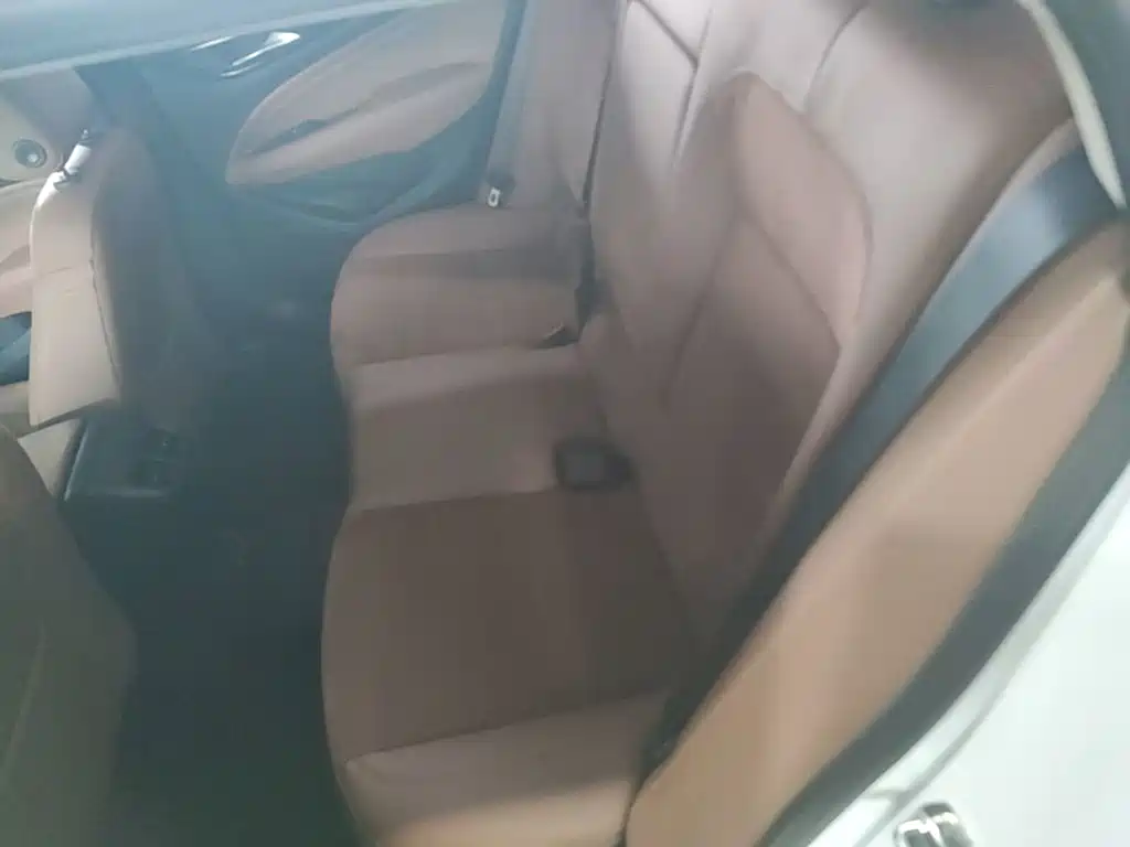 Buick Regal — миниатюра 13