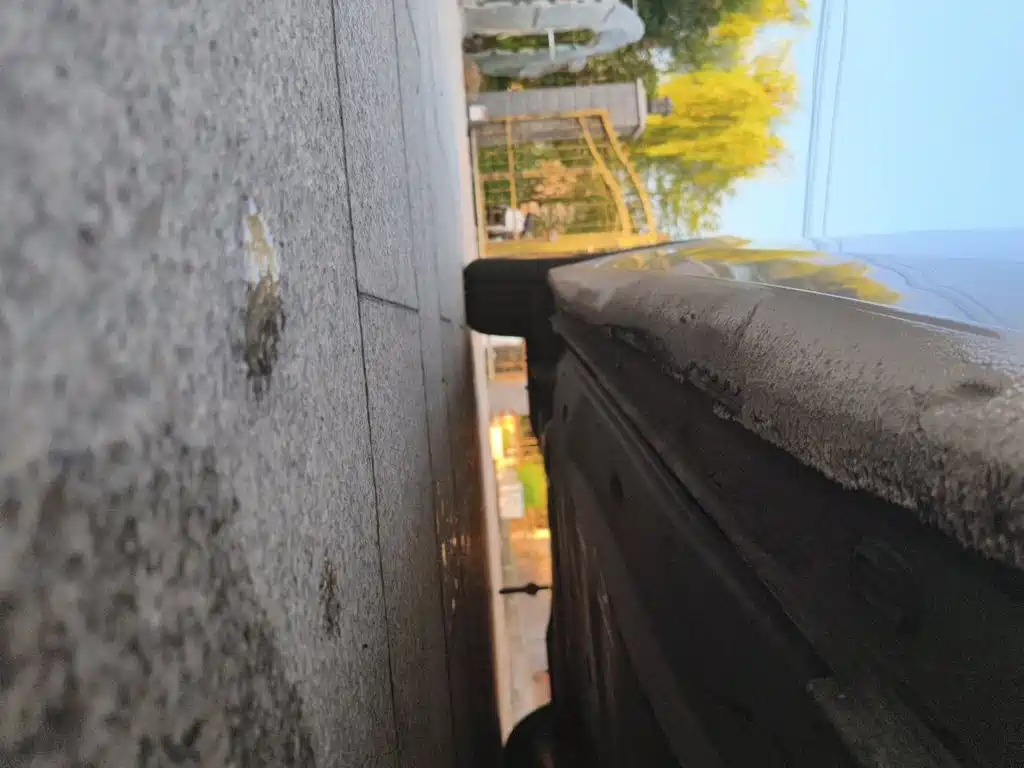 Volkswagen Lamando — миниатюра 16