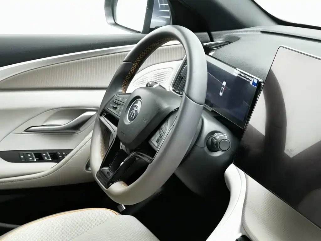 BYD Pro New Energy — миниатюра 22