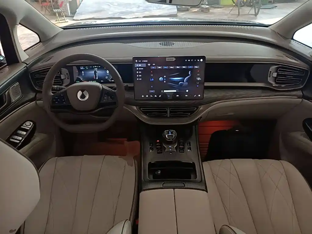 Denza Denza D9 — миниатюра 10