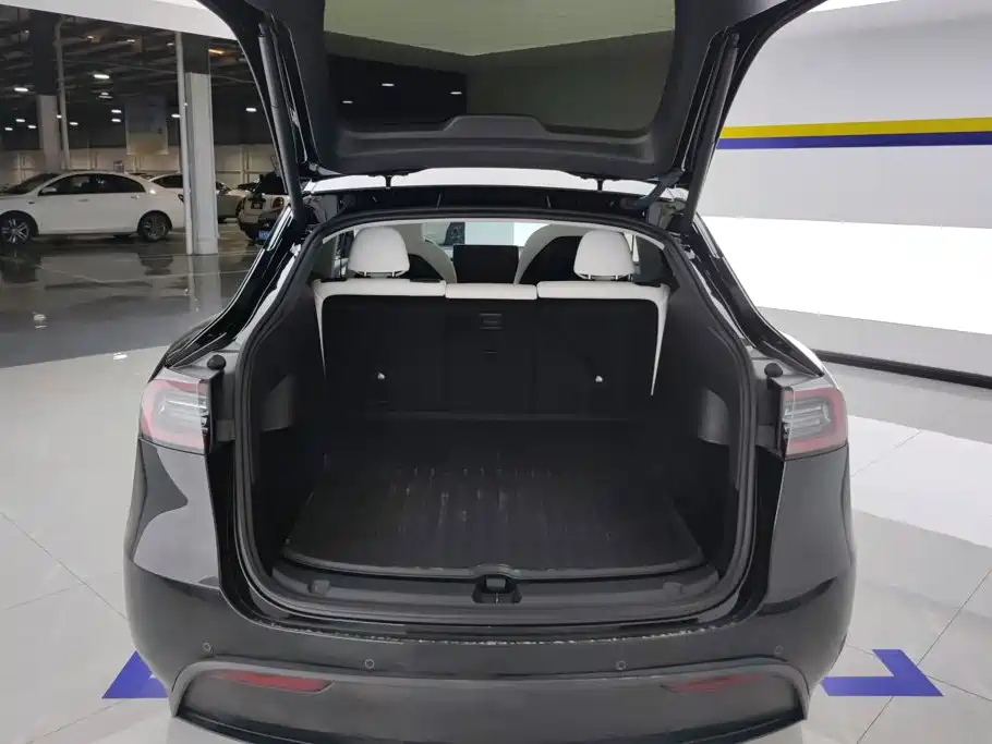 Tesla Model Y — миниатюра 4