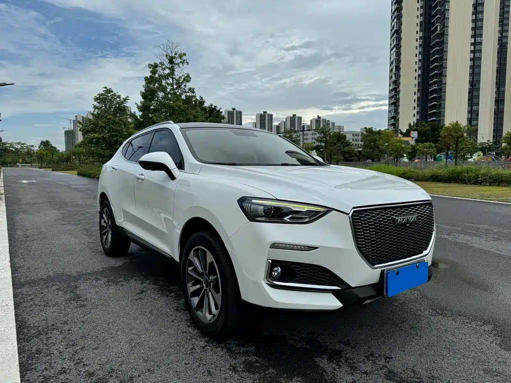 Haval F5 — миниатюра 3