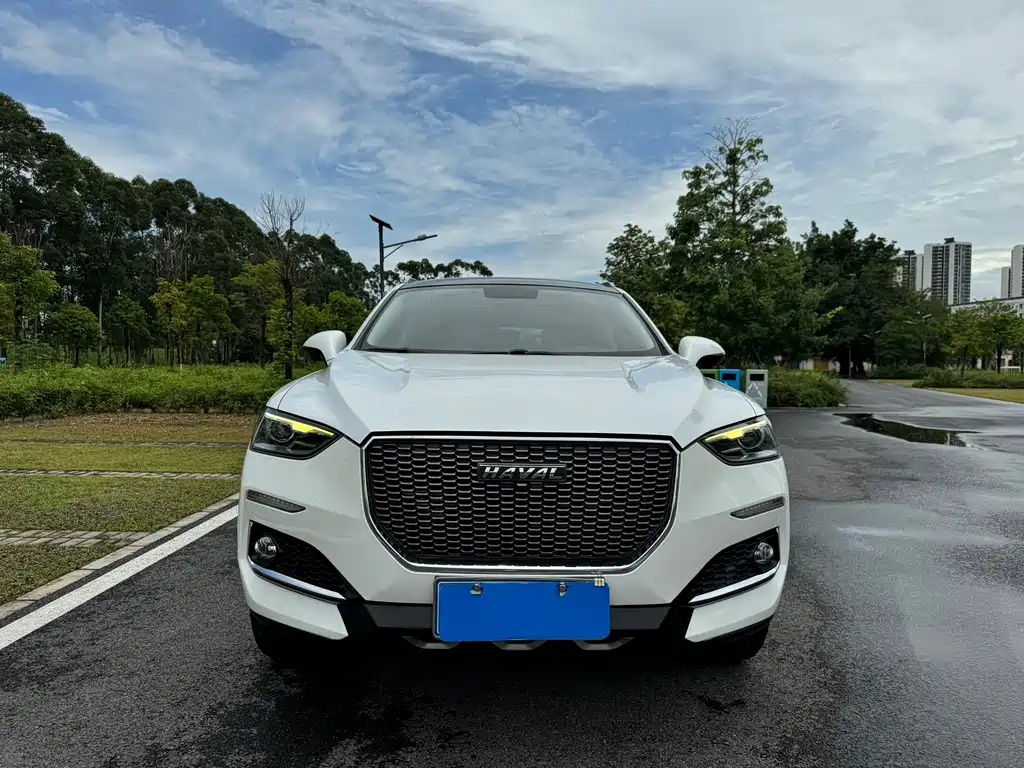 Haval F5 — миниатюра 2