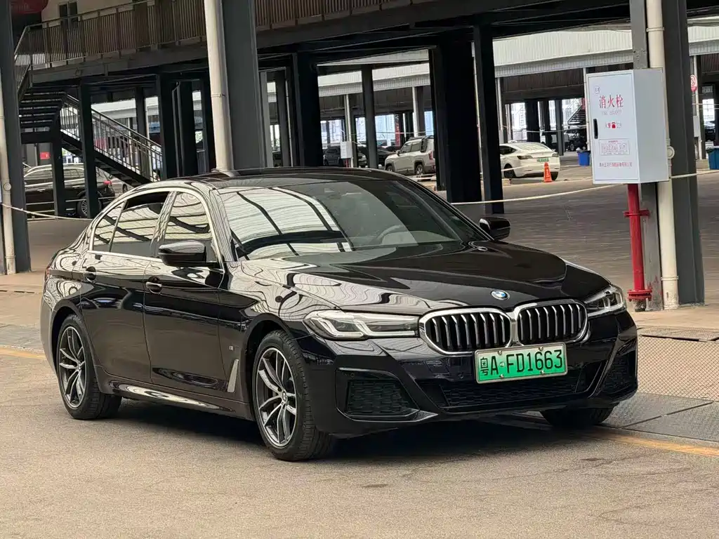 BMW 5 Series New Energy — миниатюра 3