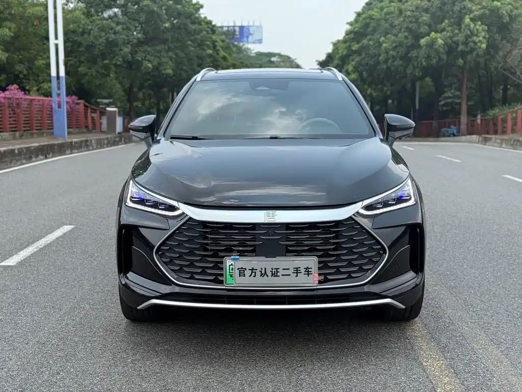 BYD Tang New Energy — миниатюра 2