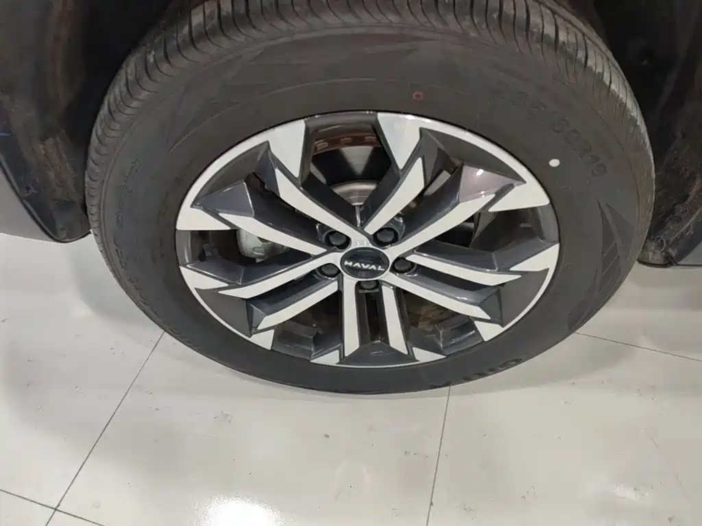 Haval Big Dog — миниатюра 23