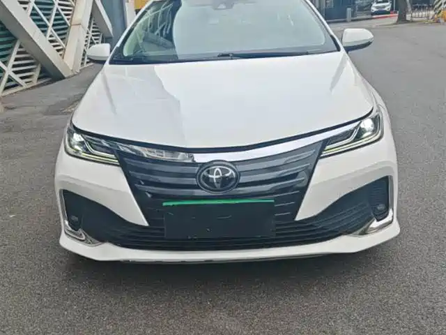 TOYOTA ASIAN LION 2021