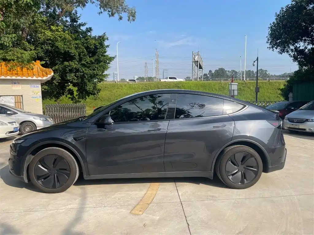 Tesla Model Y — миниатюра 9