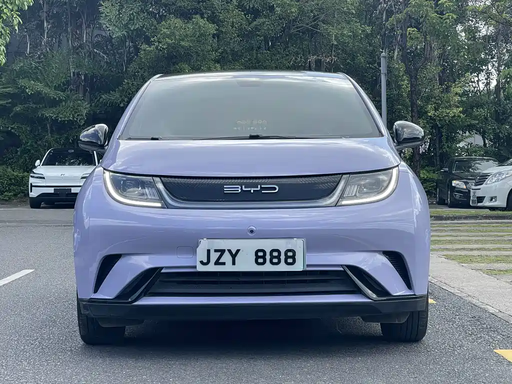 BYD Dolphin — миниатюра 2