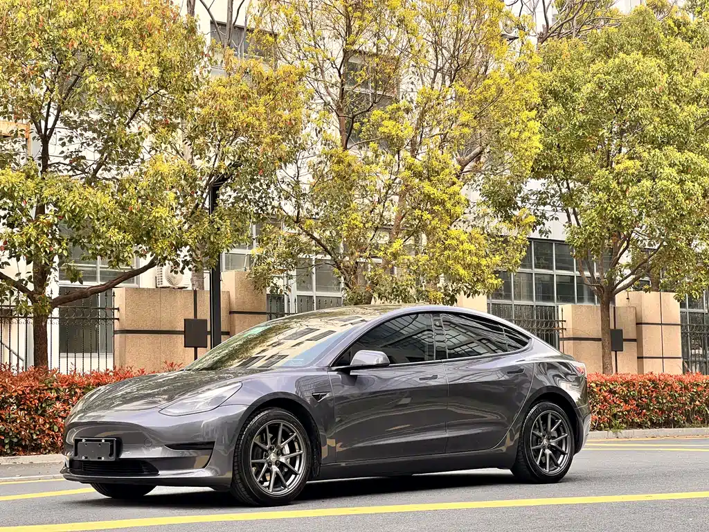Tesla Model 3 2021