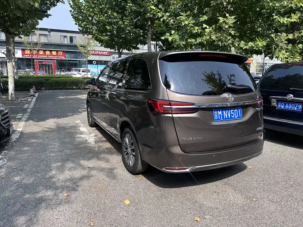 Buick GL8 — миниатюра 4