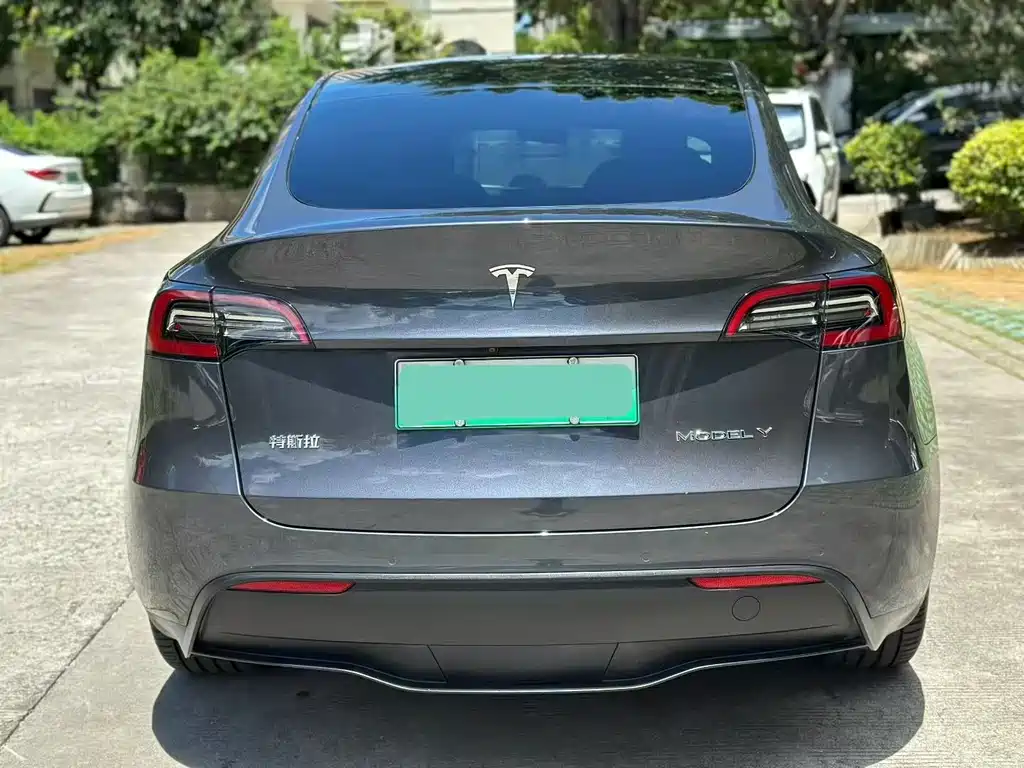 Tesla Model Y — миниатюра 8