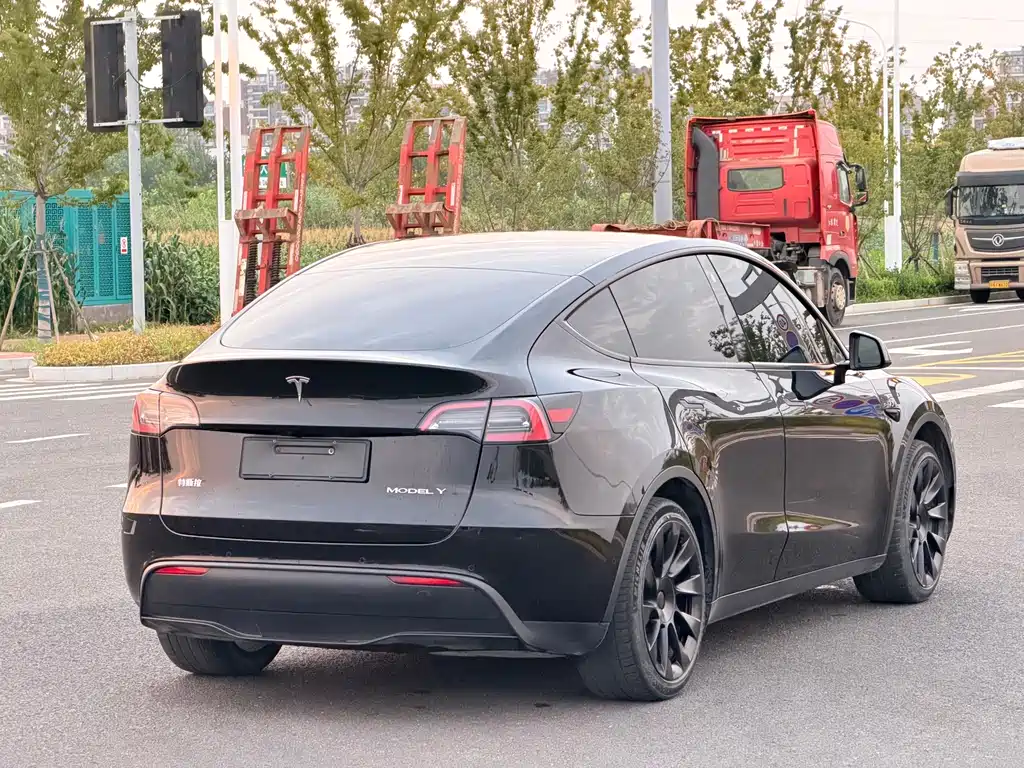 Tesla Model Y — миниатюра 7