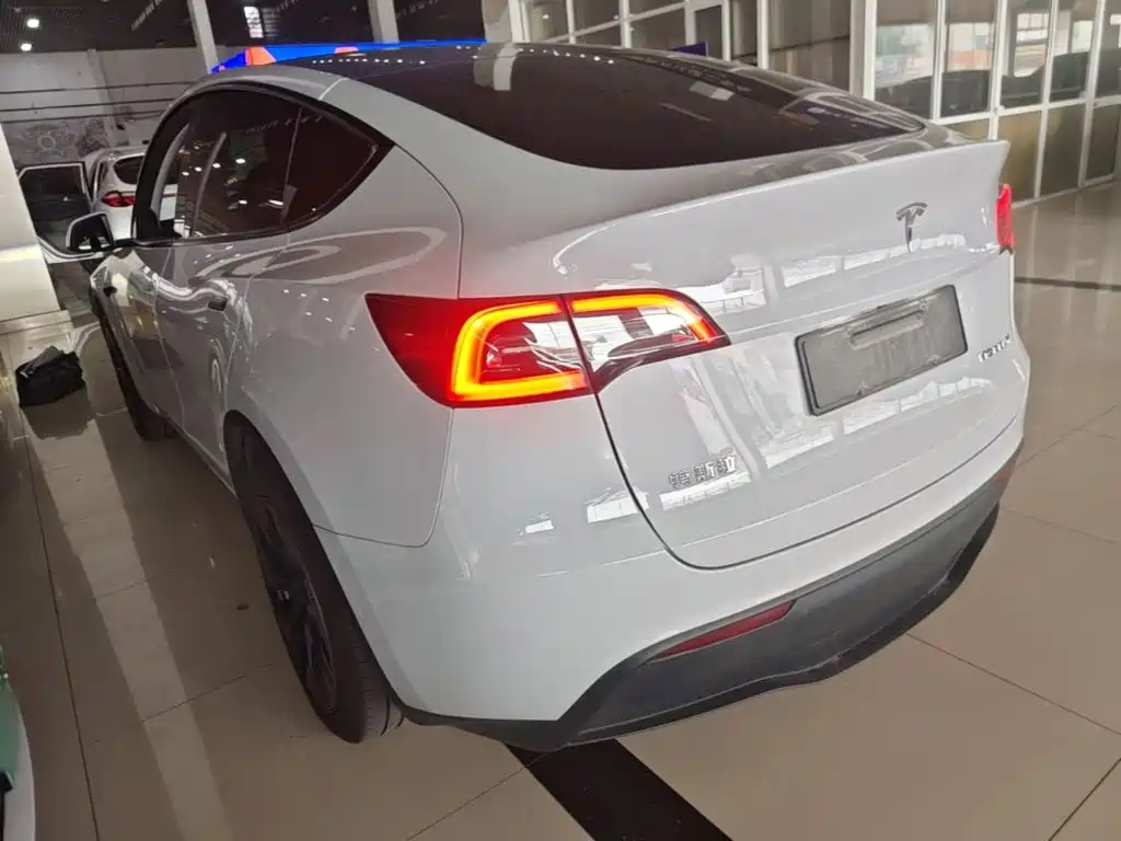 Tesla Model Y — миниатюра 5
