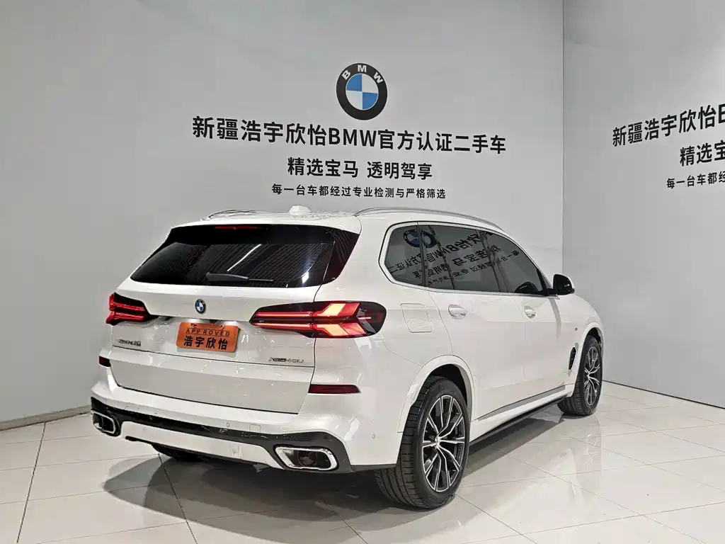 BMW X5 — миниатюра 6