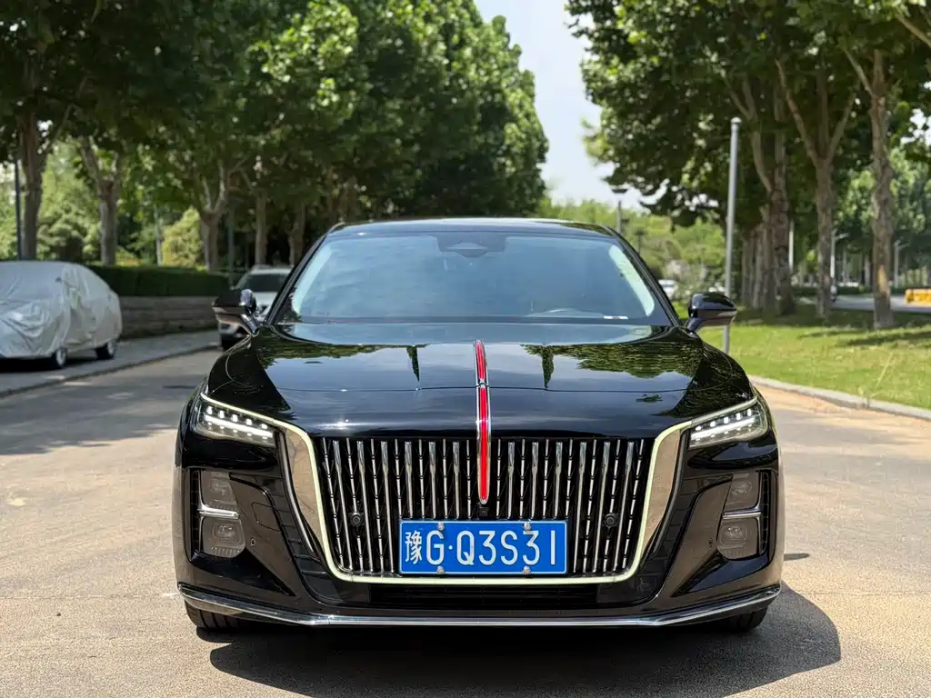 Hongqi H5 2024 2.0T AT