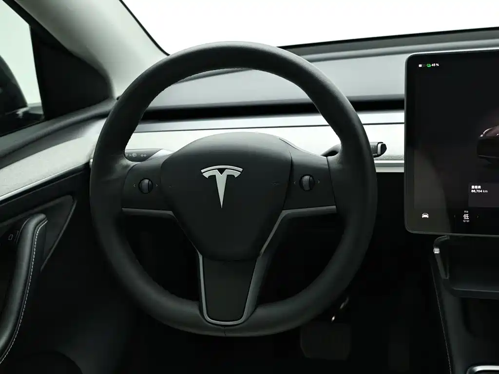 Tesla Model Y — миниатюра 16