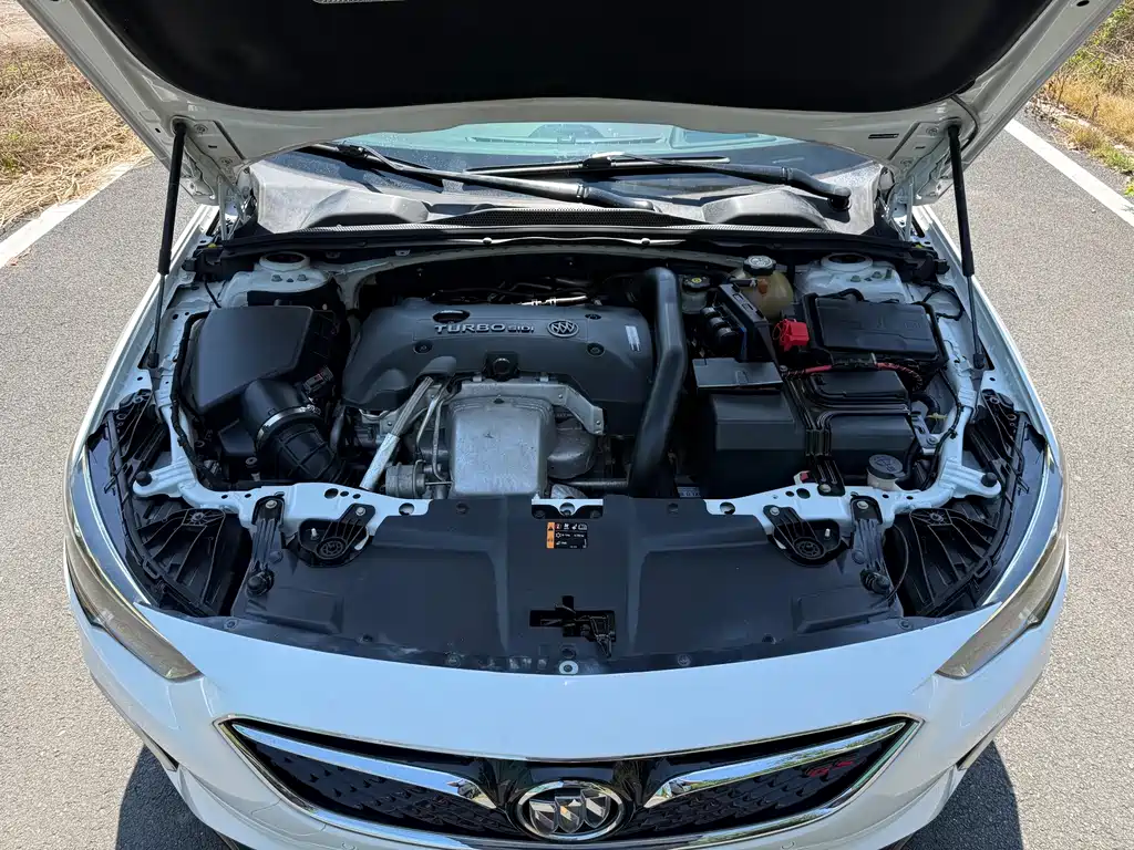 Buick Regal — миниатюра 18