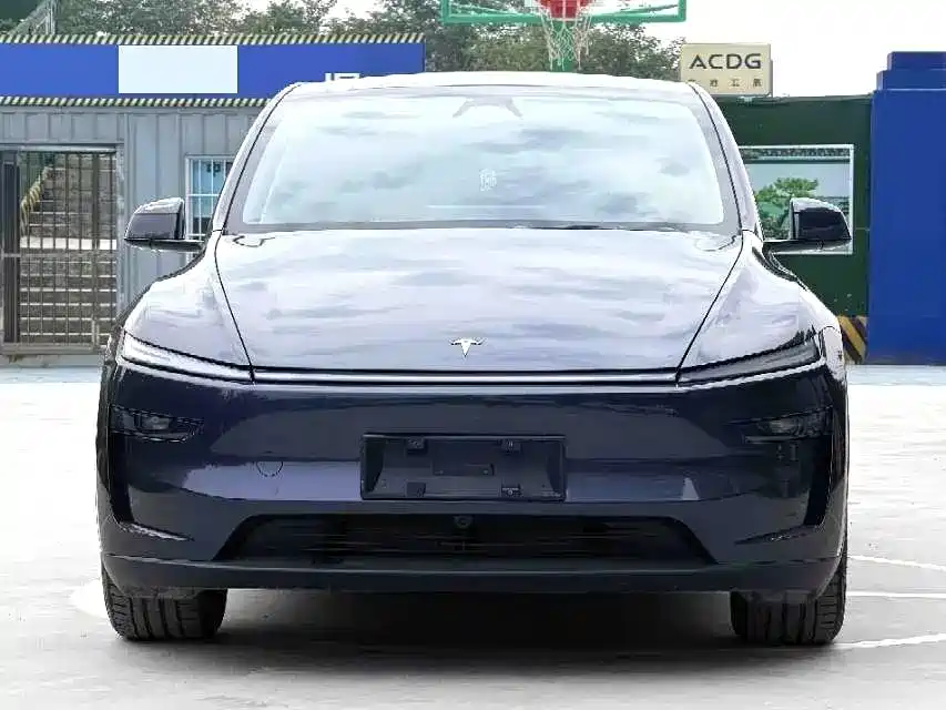 Tesla Model Y — миниатюра 2