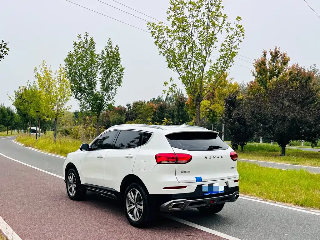 Haval H6 — миниатюра 4