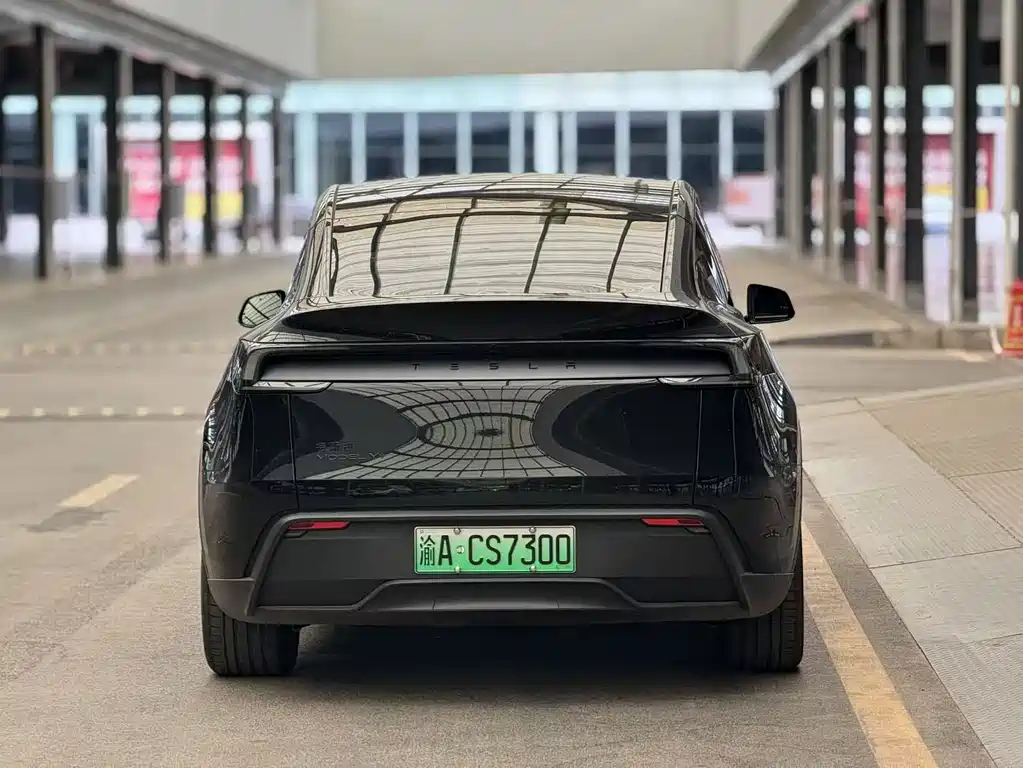 Tesla Model Y — миниатюра 11