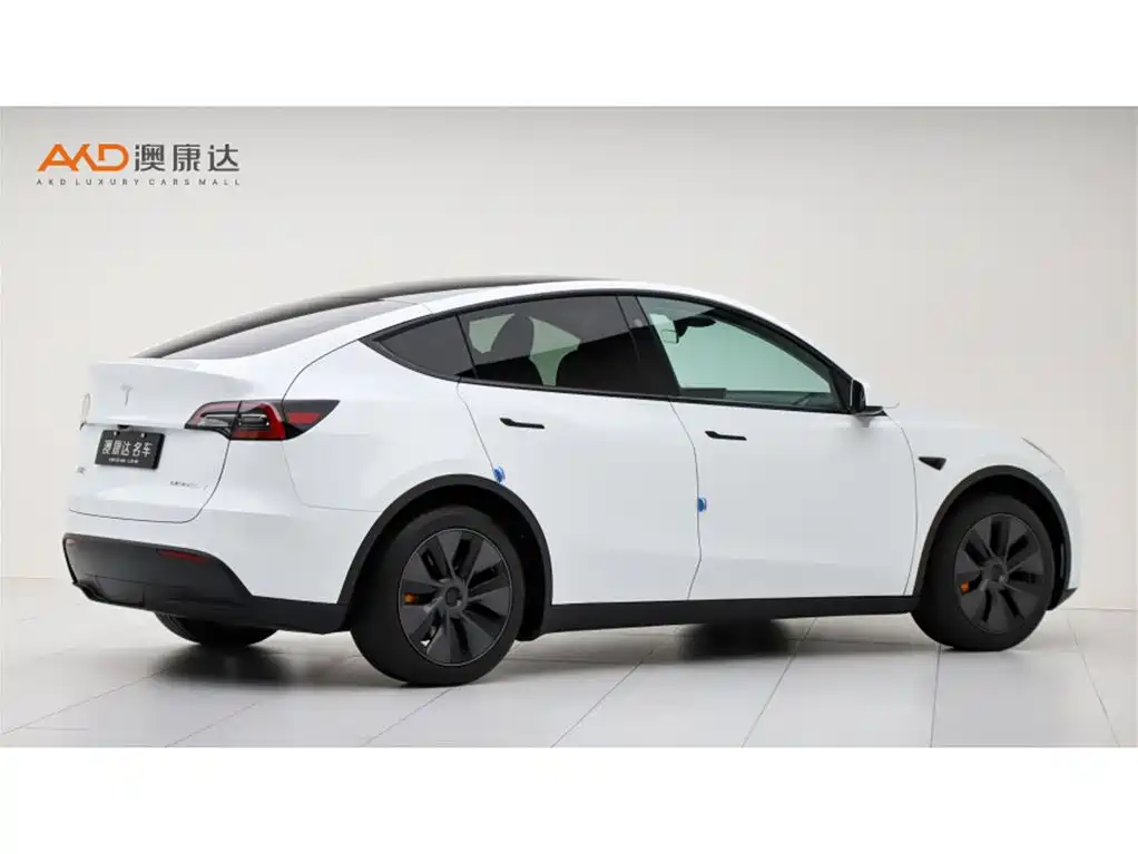 Tesla Model Y — миниатюра 3