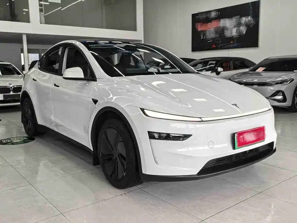 Tesla Model Y — миниатюра 3