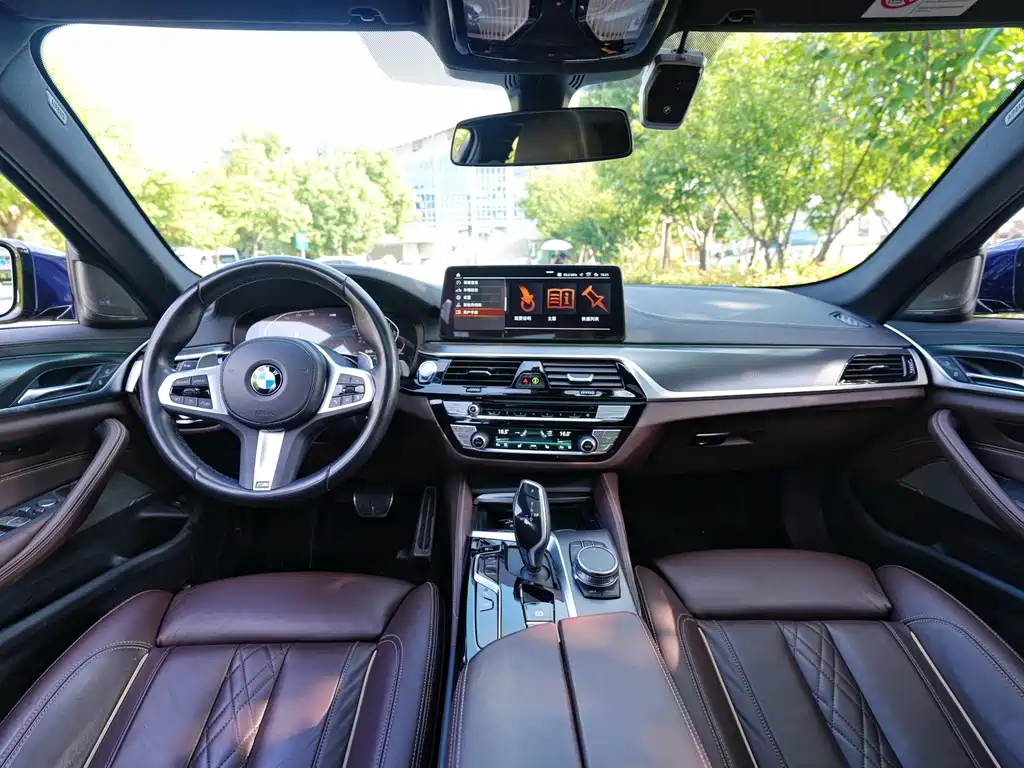 BMW 5 Series (Import) — миниатюра 8