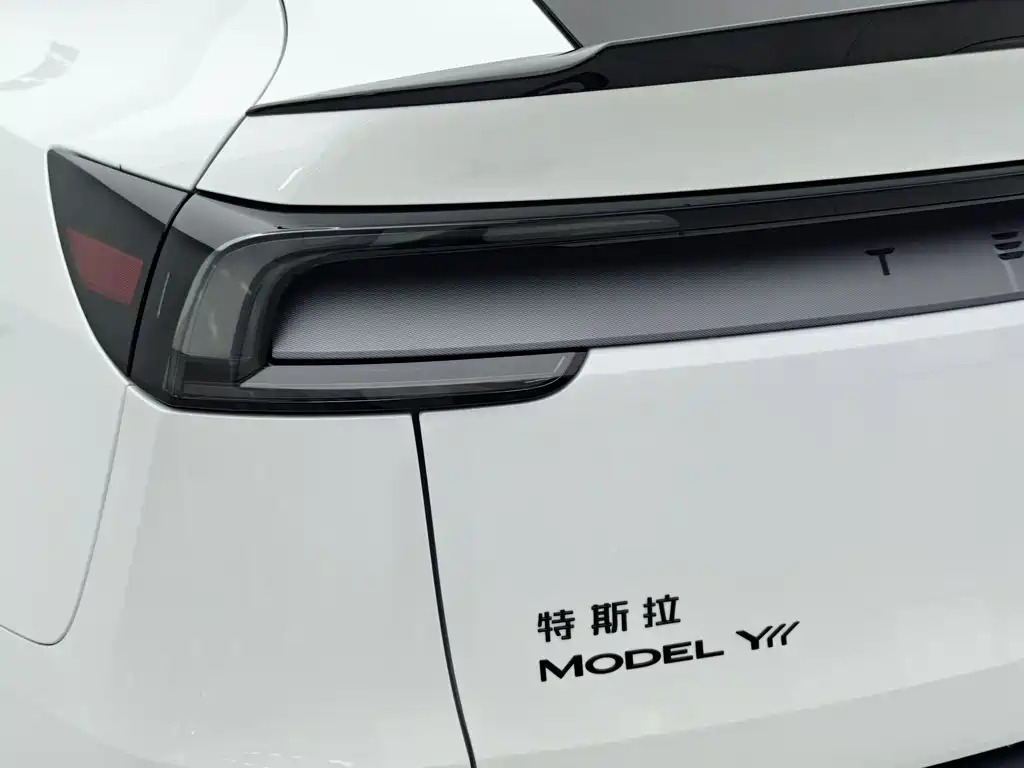 Tesla Model Y L — миниатюра 7