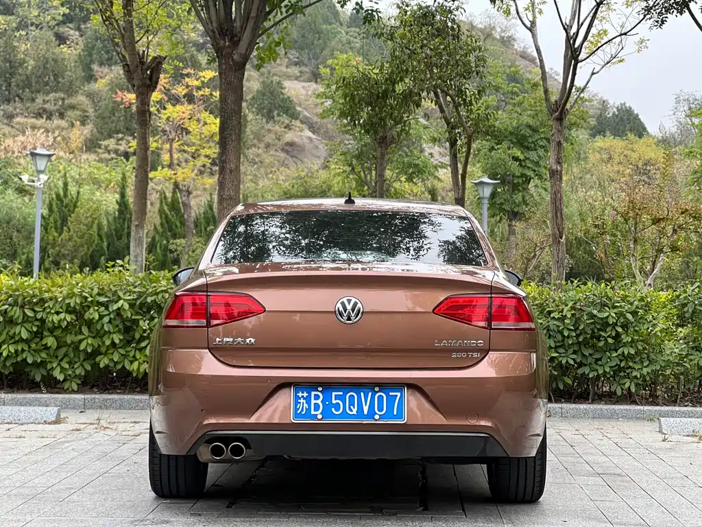 Volkswagen Lamando — миниатюра 8