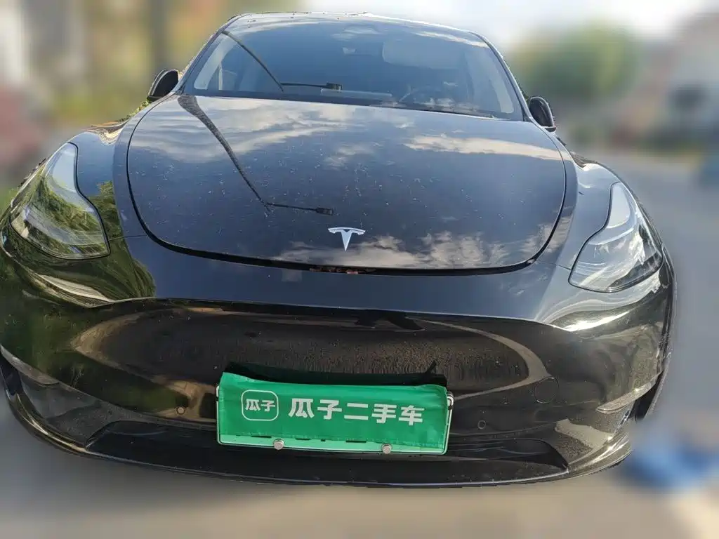 Tesla Model Y — миниатюра 23
