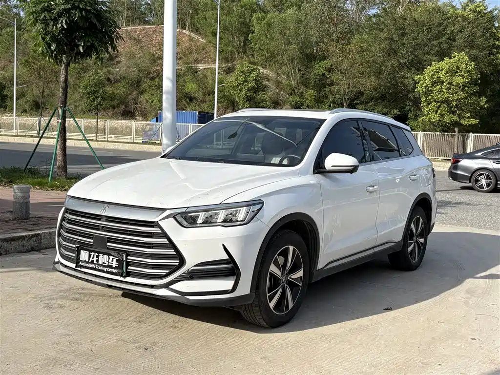 Byd Pro New Energy 2022