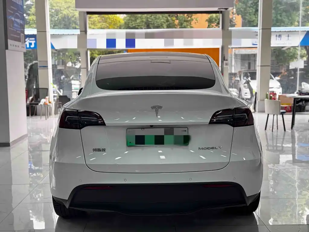Tesla Model Y — миниатюра 10