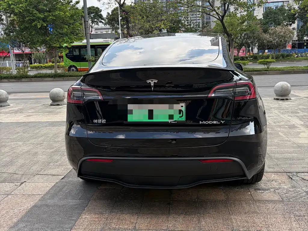 Tesla Model Y — миниатюра 8