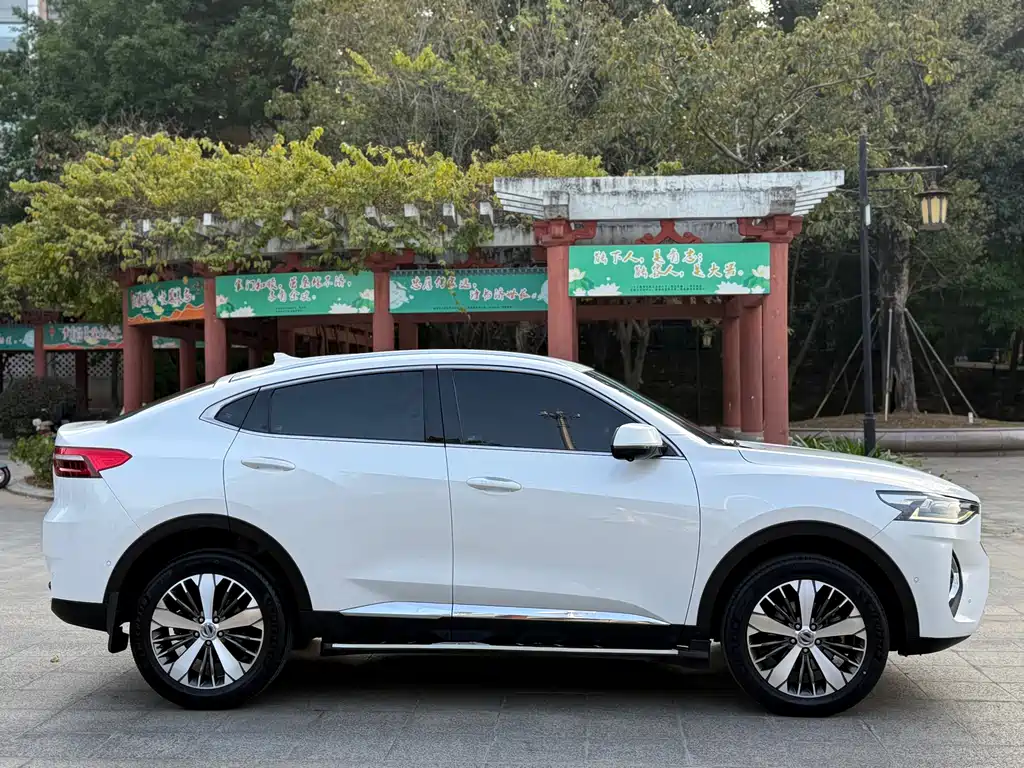 HAVAL F7X